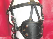 Ultimate Bondage Gag Harness